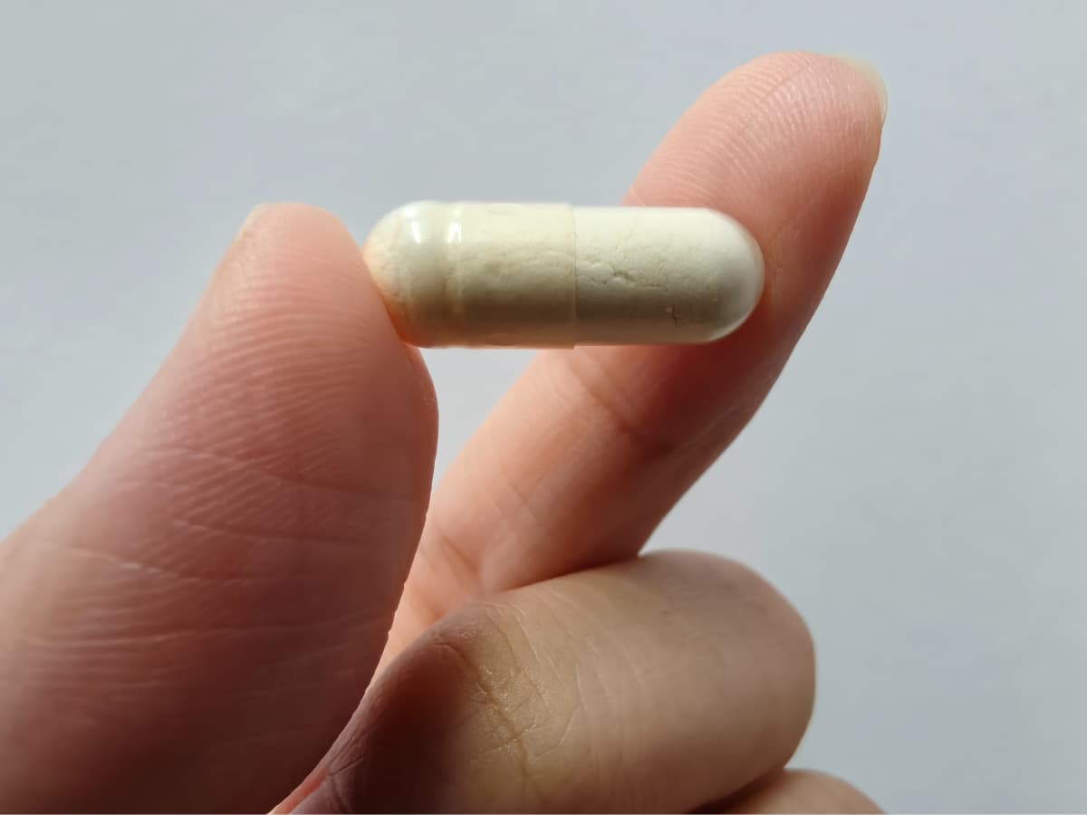 Como os probióticos beneficiam sua saúde?