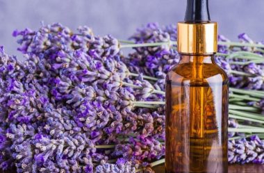 Óleo essencial de LAVANDA, o mais utilizado no mundo!