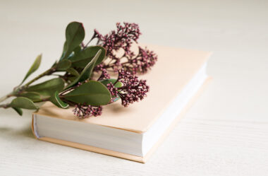 Top 5 Livros de Aromaterapia que você precisa conhecer